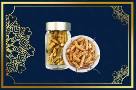德宏州瑞丽市回收散虫草